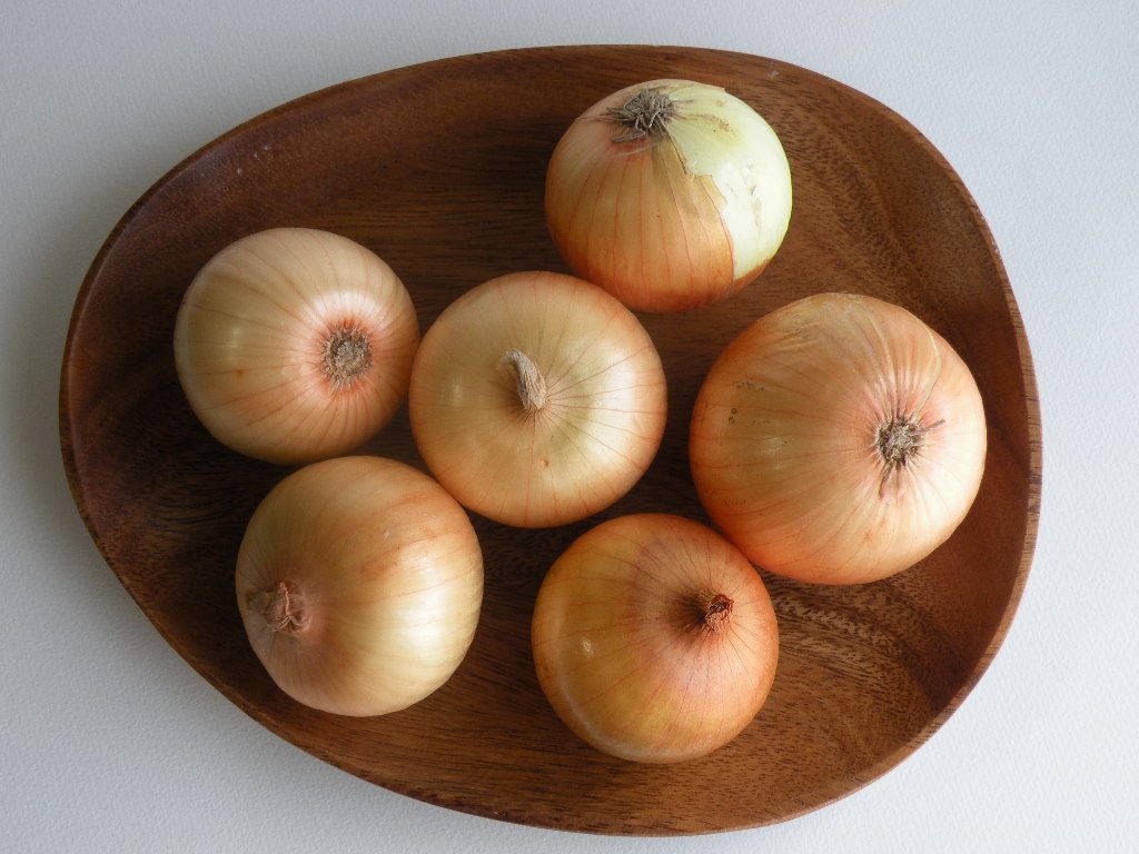 玉ねぎ（onion）