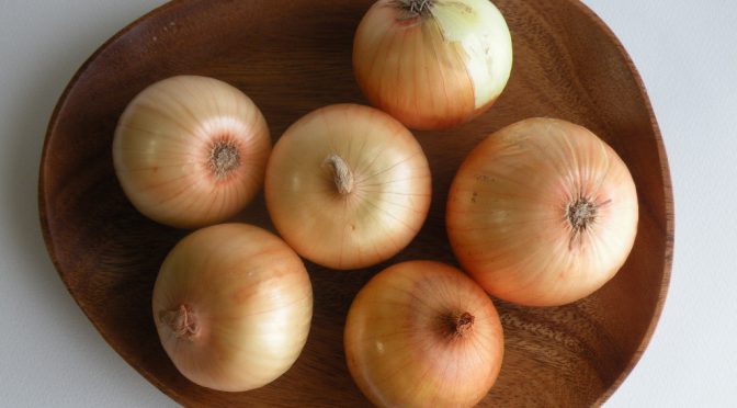 玉ねぎ（onion）