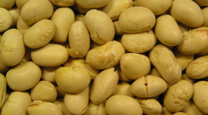 【窒息のおそれ】「節分の豆は３歳まで食べさせないで」消費者庁が警告　#節分の日