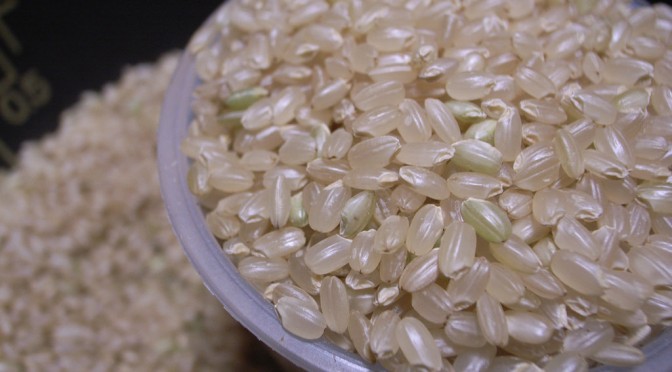 玄米のγオリザノールが脳に働きかけ高脂肪食への誘惑を軽減する｜琉球大