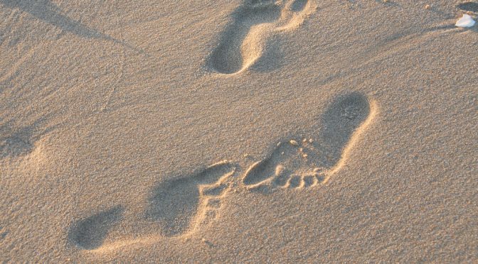 砂浜歩きでメタボ解消｜メタボリックシンドローム（内臓脂肪症候群）に該当する人の割合が、９０％から５７％に減少