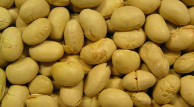 子どもの頃に大豆を多く摂取することによって乳がんリスクが低下する｜米研究