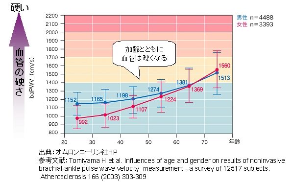 「年齢ペプチド」が女性の更年期に起こる血管機能障害を抑制し、動脈硬化や循環器疾患を予防する可能性がある｜#カルピス
