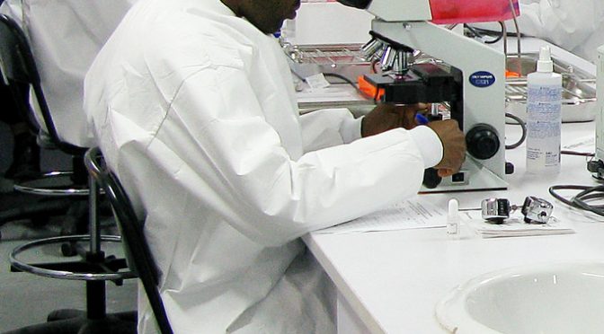 ＜ＥＳ細胞＞がん化防止にコラーゲン活用…マウス実験で成功