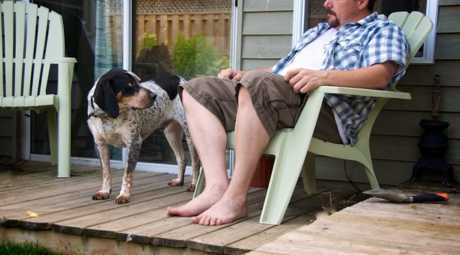 肥満の人が飼う犬、肥満になりやすい傾向｜英ドッグトレーナー