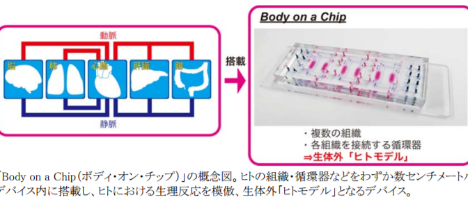 Body on a Chip（ボディ・オン・チップ）の概念図