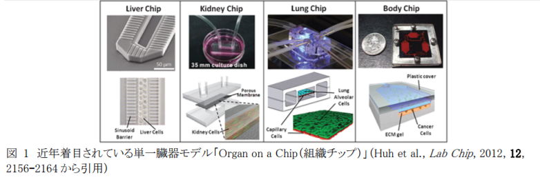 近年着目されている単一臓器モデル「Organ on a Chip（組織チップ）」