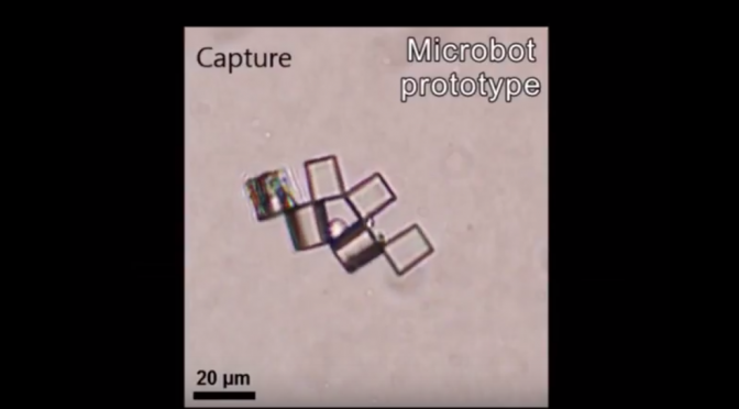 「Microbot Origami」｜単一細胞をつかんで輸送することができる超小型ロボットを開発｜米ノースカロライナ州立大学・デューク大学