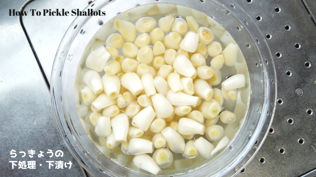 らっきょうの下処理・下漬け【ばあちゃんの料理教室/How To Pickle Shallots