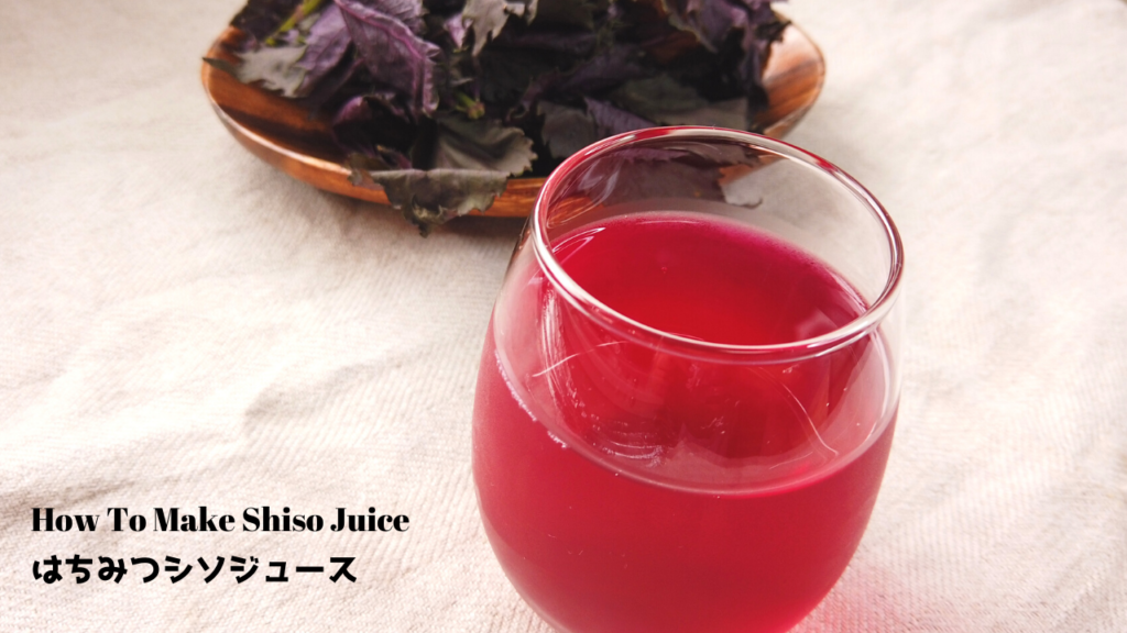 農家直伝！自家製はちみつシソジュースの作り方【ばあちゃんの料理教室】／How To Make Shiso Juice