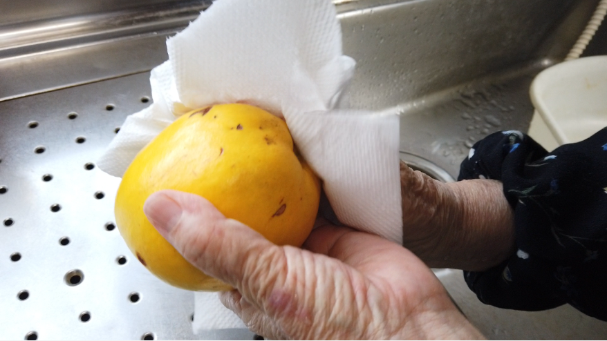 【花梨の蜂蜜漬けの作り方】２．黄熟したかりんを水洗いし、水気をとります。