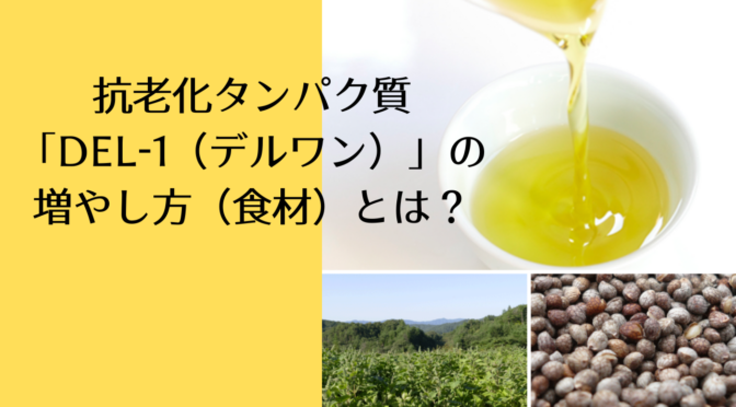 抗老化タンパク質「DEL-1（デルワン）」の増やし方（食材）とは？／カズレーザーと学ぶ。